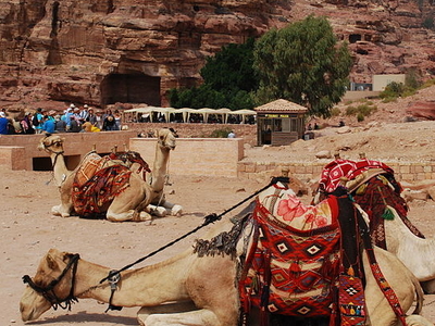 The Petra Archaeological Park