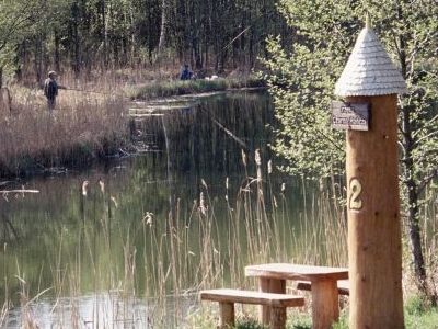 The Primaeval Forest Educational Trail The Primaeval Forest Educational Trail