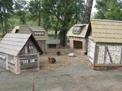 The Rabbit Town The Rabbit Town