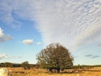 The Rutka Landscape Reserve The Rutka Landscape Reserve