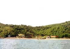The Vang Island The Vang Island