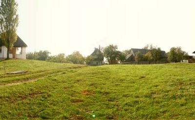 Vrba