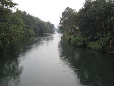 Thodupuzha