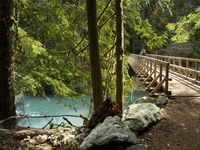 Thunder Creek Trail