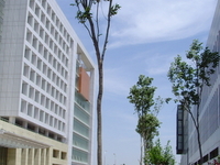 Tianjin Tianjin