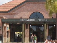 Tigre