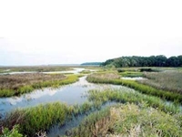 Timucuan National historical site