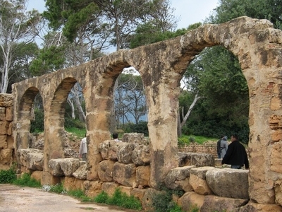 Tipaza
