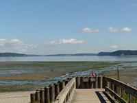 Tolmie State Park Tolmie State Park