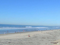 Torrey Pines State Beach
