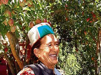 Apple Orchards of Bomdila