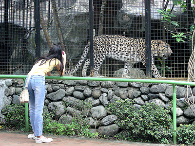 Avilon Zoo