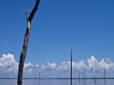 Brokopondo Reservoir