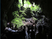 Rio Camuy Caves Rio Camuy Caves