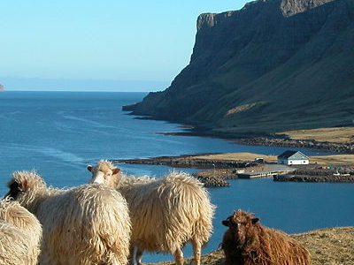 Faroe Islands