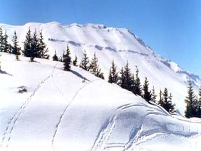 Kfardebian