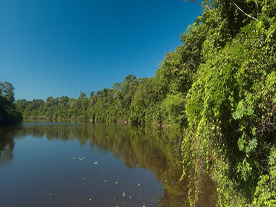 Pacaya Samiria National Reserve