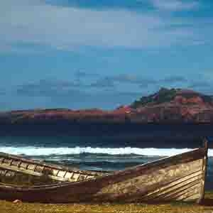 Phillip Island