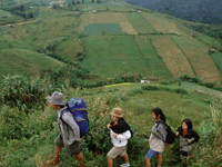 Talley Valley Trekking Talley Valley Trekking