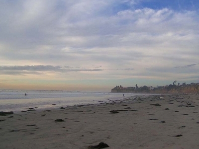 Tourmaline Surfing Park Beach