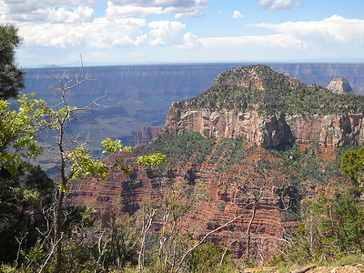 Transept Trail