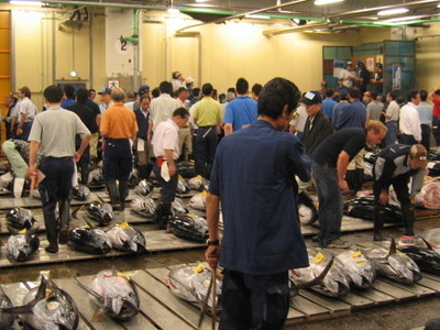 Tsukiji Fish Market