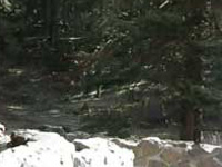 Tub Springs State Wayside Tub Springs State Wayside