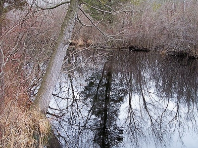 Tuckahoe River