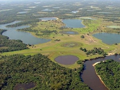 Pantanal