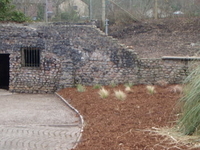 Taff's Well Thermal Spring