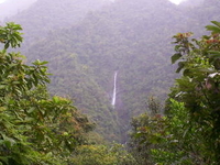 Tapantí National Park Tapantí National Park