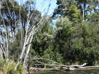 Te Ana-au Caves