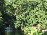Basingstoke Canal