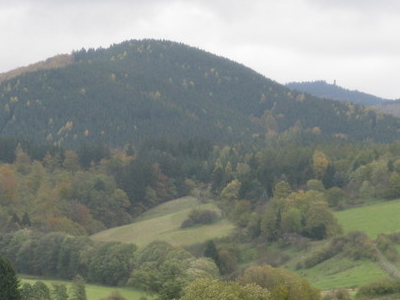 Eichelnkopf