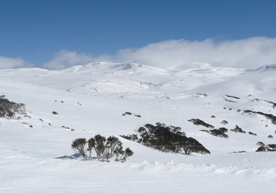 Snowy Mountains