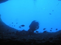 Nereo Cave