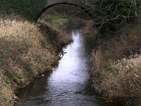 Ulster Canal Ulster Canal