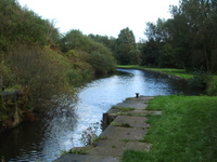 Sankey Canal