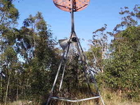 Mount Petrie