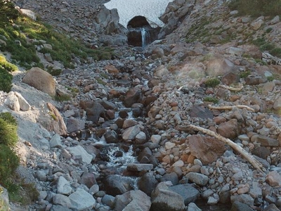 Timberline Trail