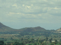 Tororo