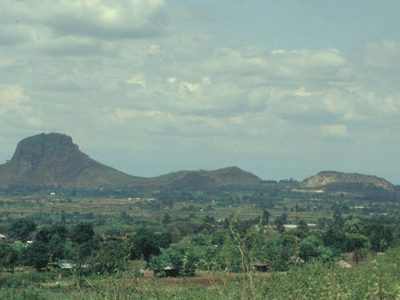 Tororo