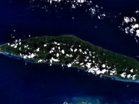 Tortuga