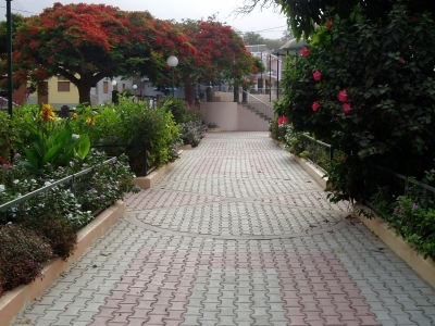 Ribeira Brava