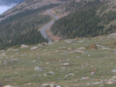 Trail Ridge Road