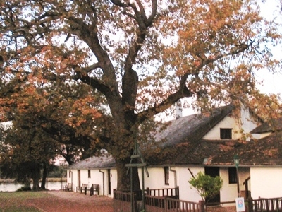 Tranby House