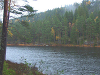 Tresticklan National Park Tresticklan National Park