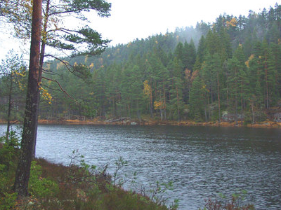 Tresticklan National Park