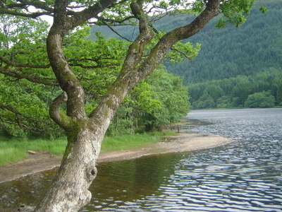 Trossachs