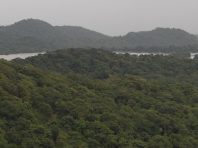 Tulsi Lake